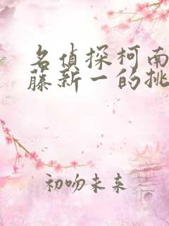 名侦探柯南给工藤新一的挑战书