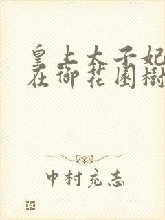 皇上太子妃沈音在御花园树上