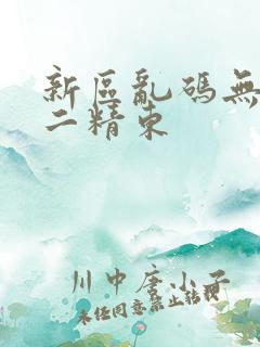 新区乱码无人区二精东