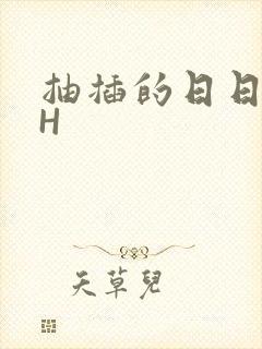 抽插的日日液液H