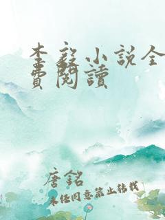 李毅小说全文免费阅读