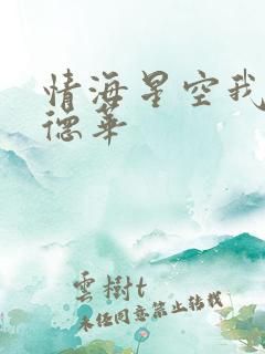 情海星空我与刘德华