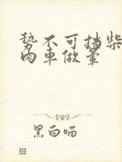 势不可挡柴鸡蛋肉车做晕