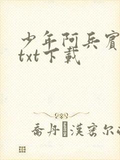 少年阿兵宾小说txt下载
