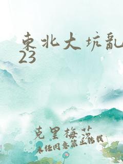 东北大坑乱1—23