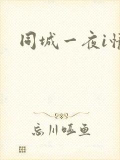 同城一夜i情