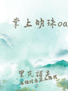 掌上明珠oa