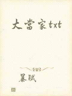 大当家txt