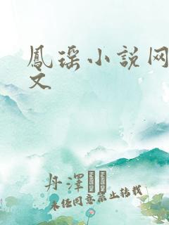 凤瑶小说网高辣文