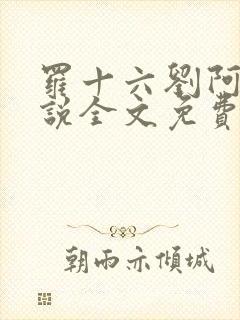 罗十六刘阿婆小说全文免费阅读