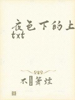 夜色下的上海滩txt