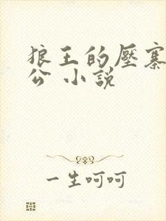 狼王的压寨小相公 小说