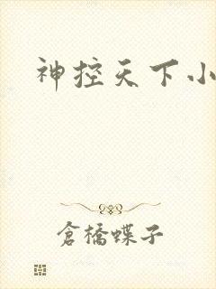 神控天下小说
