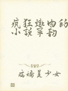 疯狂炖肉的全部小说宁韵