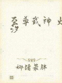 至尊武神 火龙汐