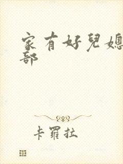 家有好儿媳第二部