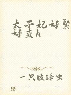 太子妃好紧皇上好爽h