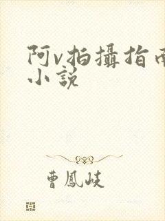 阿v拍摄指南说小说