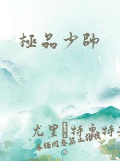 极品少帅