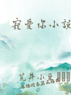 宠爱你小说