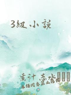 3级小说