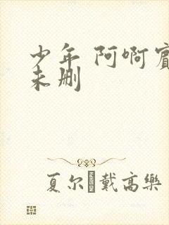 少年 阿啊宾文未删