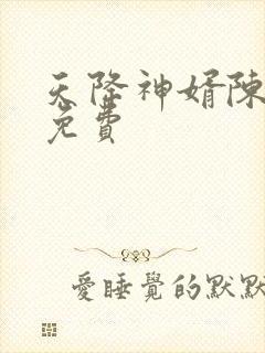 天降神婿陈黄皮免费