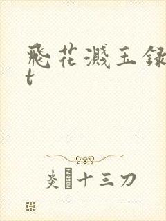 飞花溅玉录txt