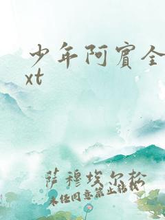 少年阿宾全集txt