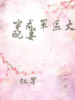 穿成军区大佬女配妻