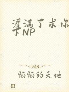 灌满了求你们停下NP