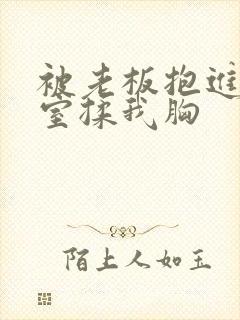 被老板抱进办公室揉我胸