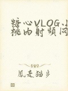 糖心VLOG小桃内射频网站