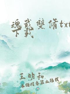 魂武双修txt下载