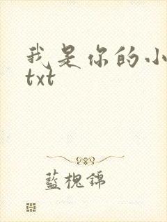 我是你的小小狗txt