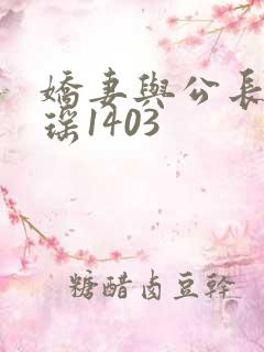 娇妻与公长篇瑶瑶1403