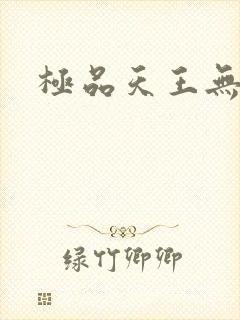 极品天王无弹窗