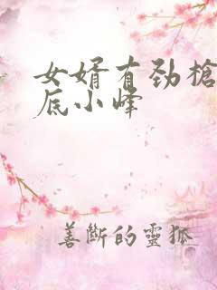 女婿有劲枪枪到底小峰