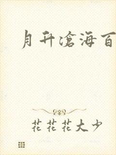月升沧海百度云