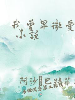 我曾卑微爱过你 小说