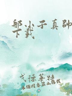 那小子真帅小说下载