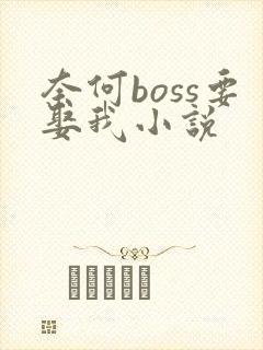奈何boss要娶我小说