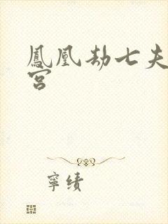 凤凰劫七夫乱后宫