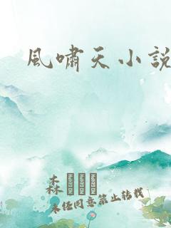 风啸天小说