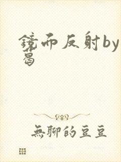 镜面反射by九葛