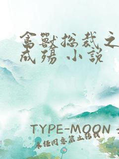 禽兽总裁之虐爱成殇 小说