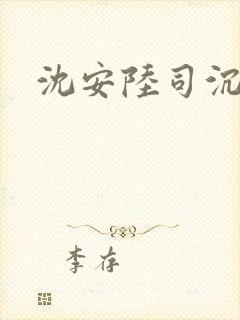 沈安陆司沉小说