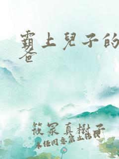 霸上儿子的总裁爸