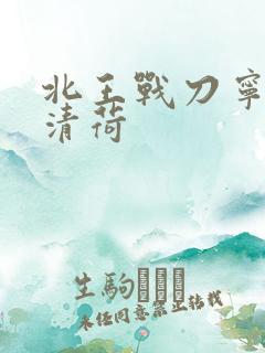 北王战刀宁北苏清荷