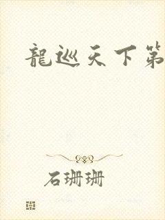 龙巡天下第四部